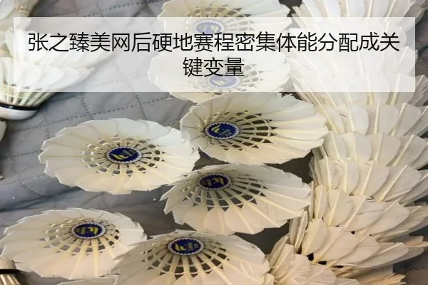 张之臻美网后硬地赛程密集体能分配成关键变量（WuKong）